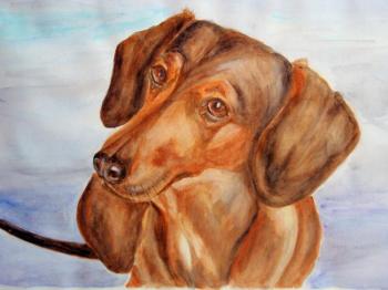 ������� ��������