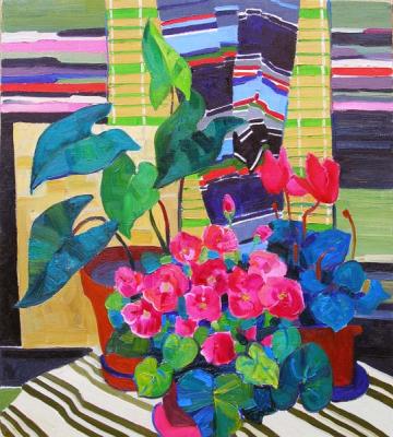 ������� ���������� � ����������� �����������