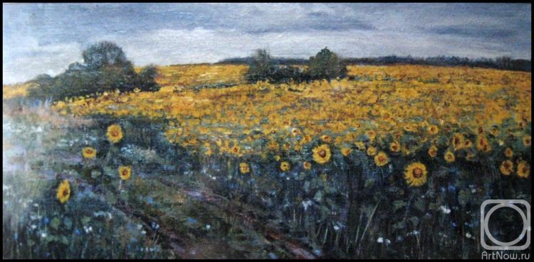 Abdullaev Vadim. Field of sunflowers
