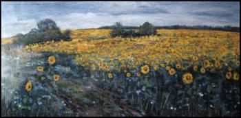 Field of sunflowers. Abdullaev Vadim