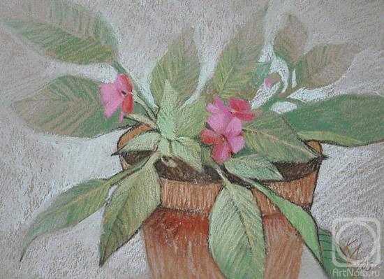 �������. ��������� ����. ������� ��� ��������