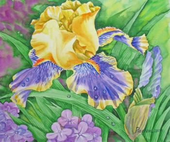 Yellow Blue Iris. Piacheva Natalia