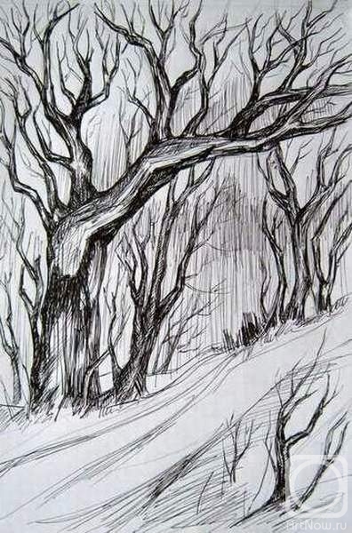 �������. ������ ����. �������