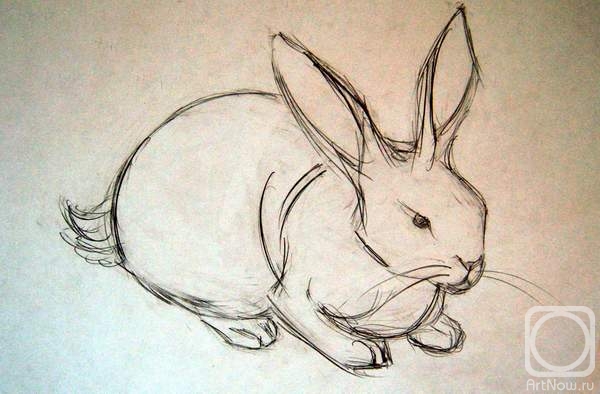 Shubert Anna. Rabbit