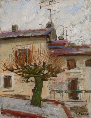 ������� ������� ������