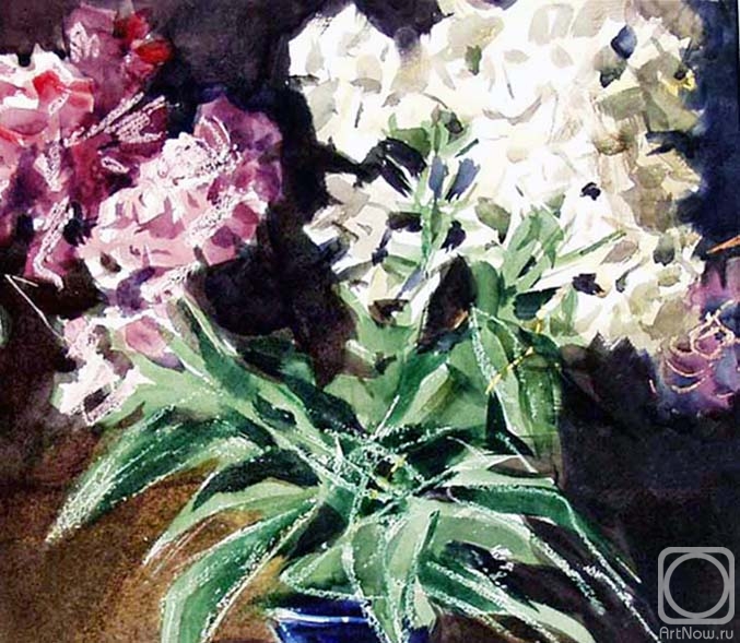 �������. ����������� ����. ������ ��������