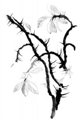 ������� ������