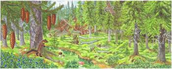 Spruce forest. Fomin Nikolay