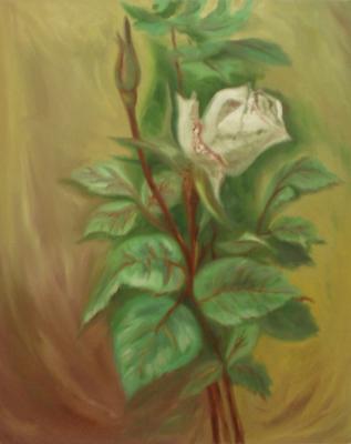 438 (White Rose). Lukaneva Larissa