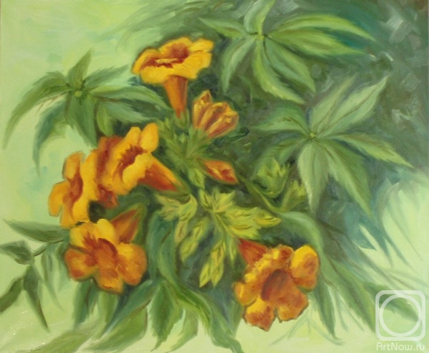 ������� ������ �� ������. �������� ������. 439 (�������� �������)