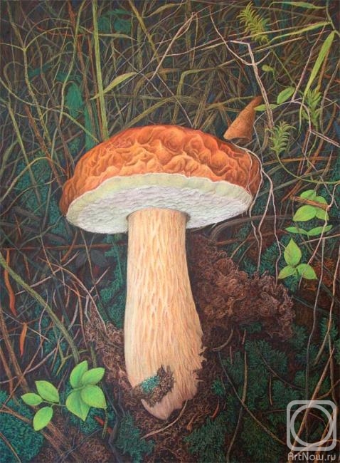 �������. ��������� ���������. ������� ����� ������ ����