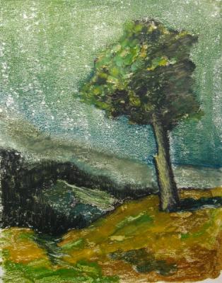 Lonely tree on the slope of the mountains. Pohomov Vasilii