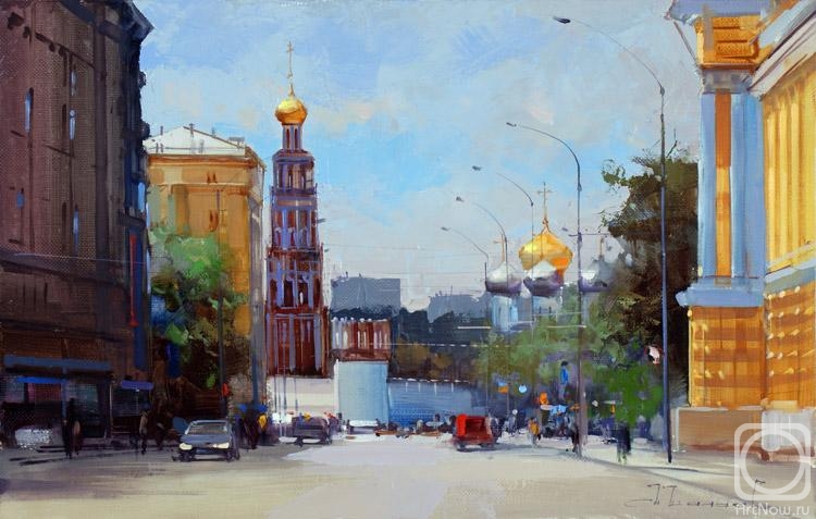 Shalaev Alexey. Bolshaya Pirogovskay. By Nikolskaya Tower