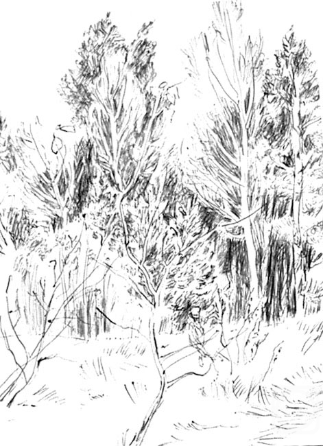 �������. ����������� ����. ��������� �������� 5 � 37/70