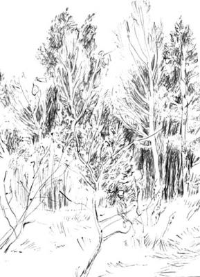 Collection of drawings 5 �37/70