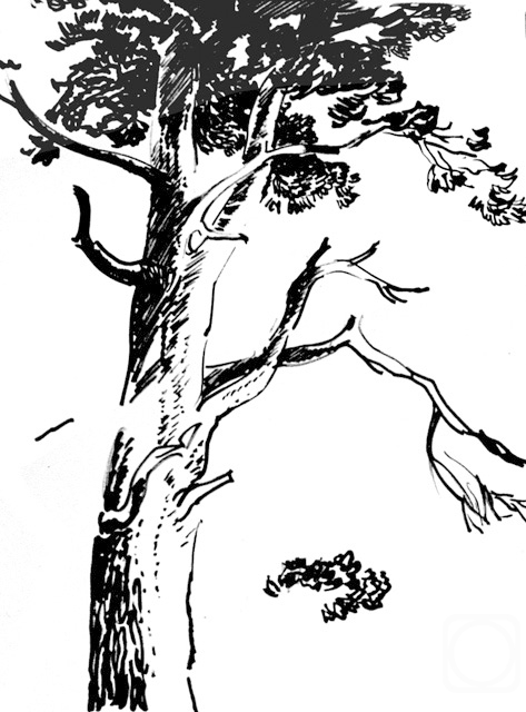 �������. ����������� ����. ��������� �������� 5 �39/95