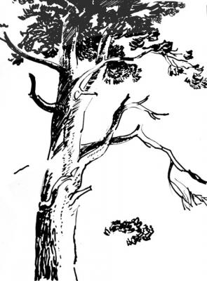 Collection of drawings 5 �39/95