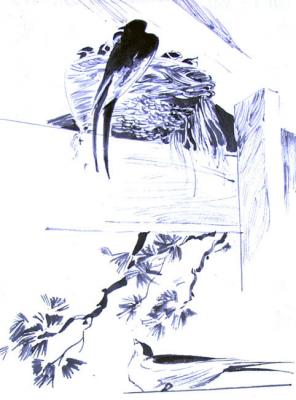 Collection of drawings 5 � 43/75