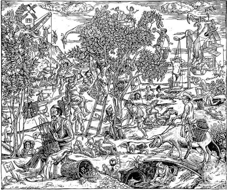 �������. �������� ������. �������� ������