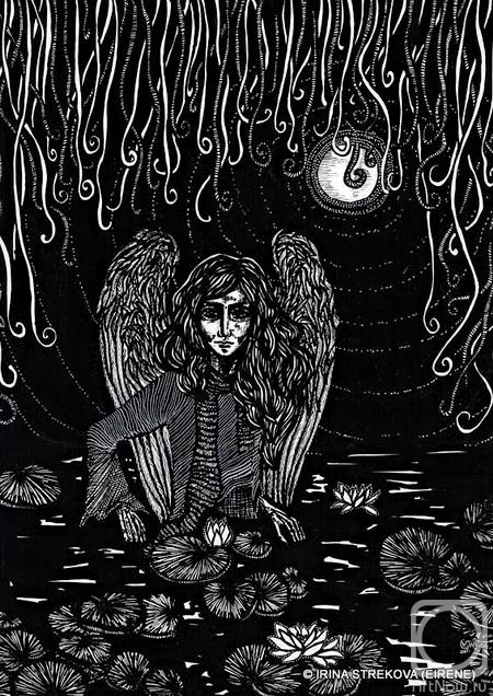 �������. �������� �����. ����