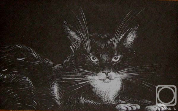 �������. ������� ������. ����� ������