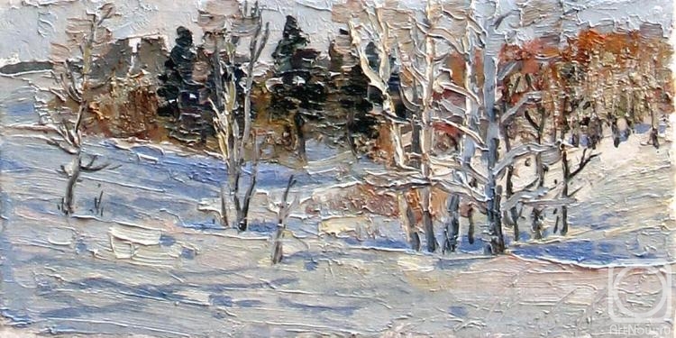 Arepyev Vladimir. Shadows on the snow