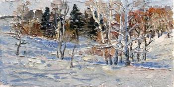 Shadows on the snow. Arepyev Vladimir