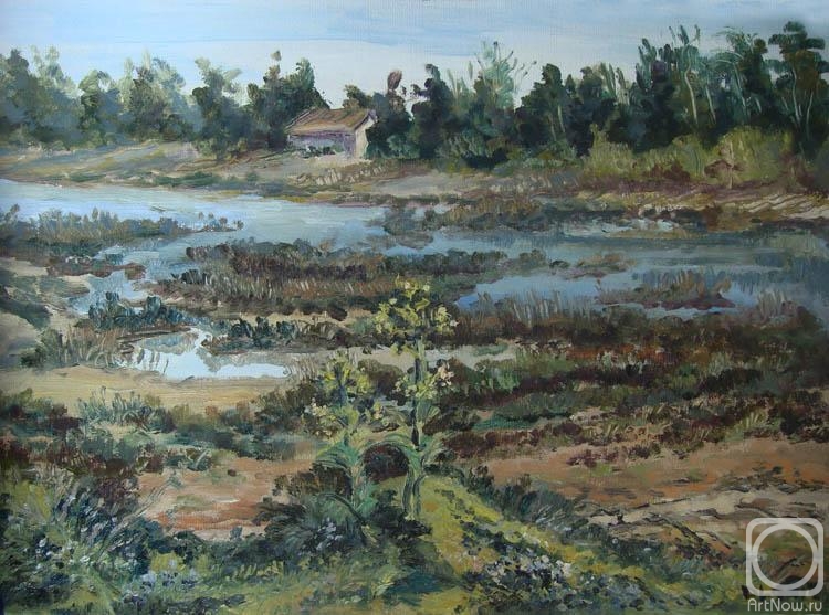 ������� ������ �� ������. ������� �������. ������ ������� ���� � �������. ����