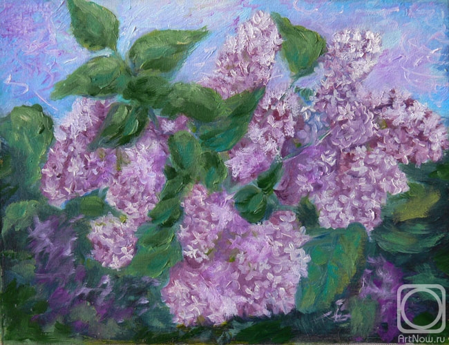 �������. �������� ���������. ����� ������