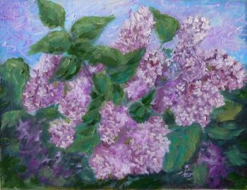 ������� ������ ������