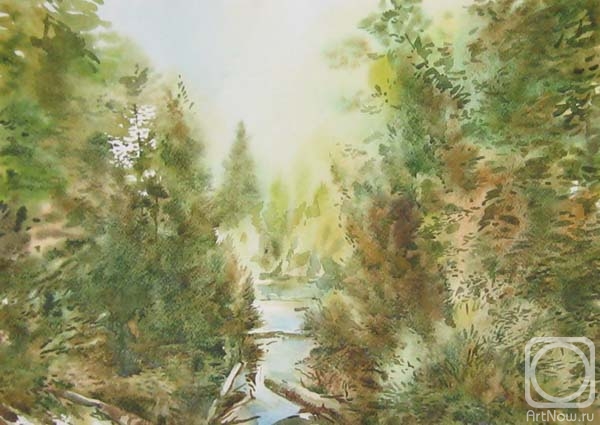Rakutov Sergey. Channel in the forest