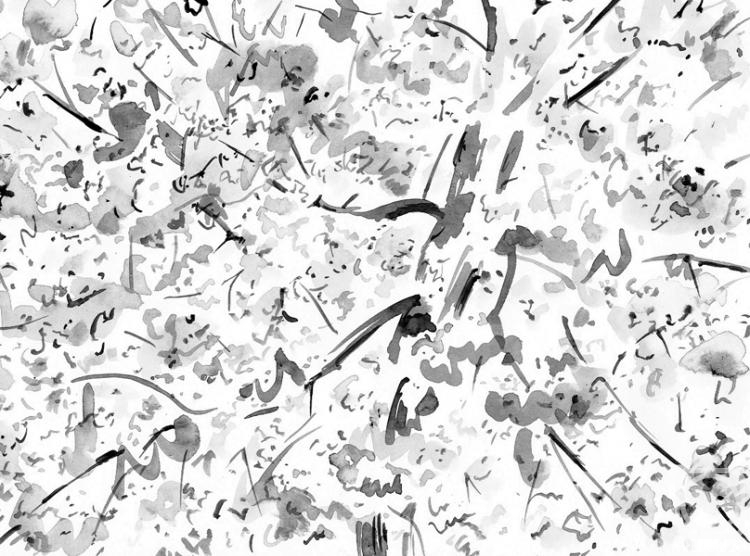 �������. ������� ����. �������� ������