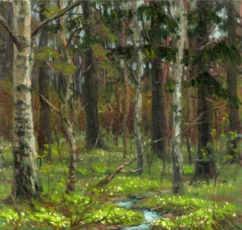Forest. Evdokimov Alexey