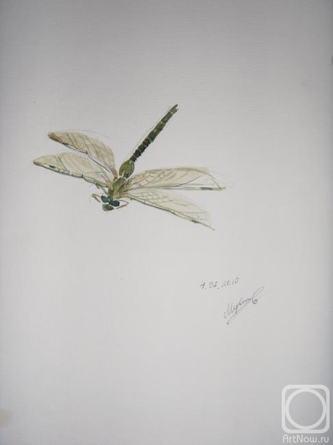 Medvedeva Maria. Dragonfly