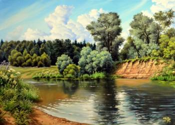 Mid-summer (Kaluga region, Luzha River)