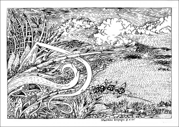 �������. �������� ������. ������� ��� ��������