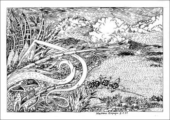 ������� ���� ���������