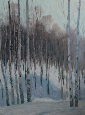Birches. Klenov Valeriy