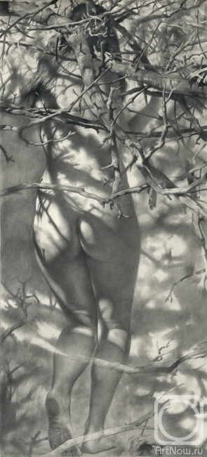 �������. ������ �����. �������� �����