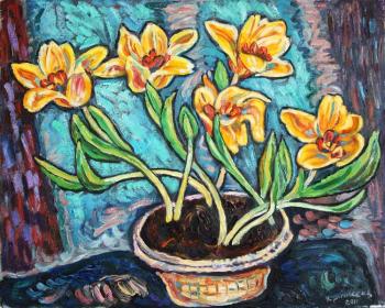 ������� ���������