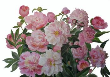 ������� ��������� ������