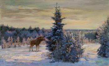 Winter wanderings (). Panov Eduard