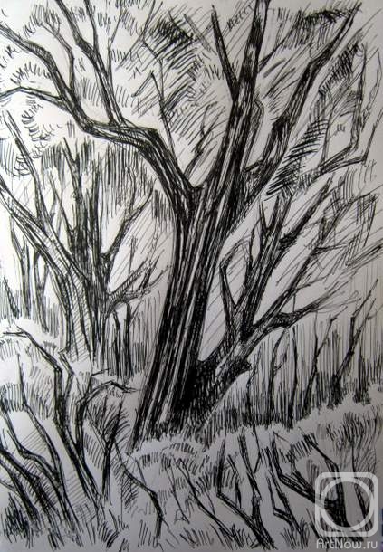 �������. ������ ����. � ������