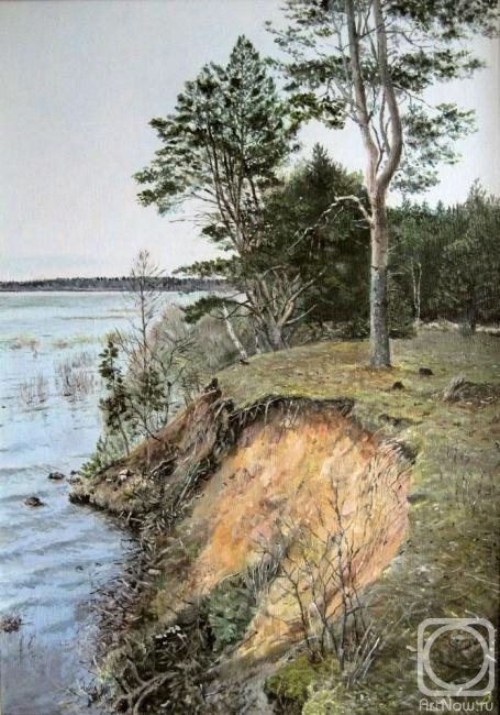 Vankhonen Alexey. Pines on shore