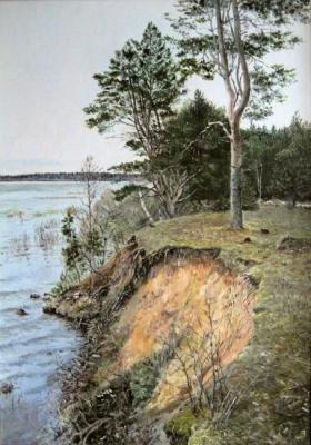 Pines on shore. Vankhonen Alexey