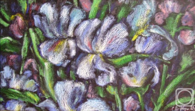 �������. ������� ���������. ����� � ����