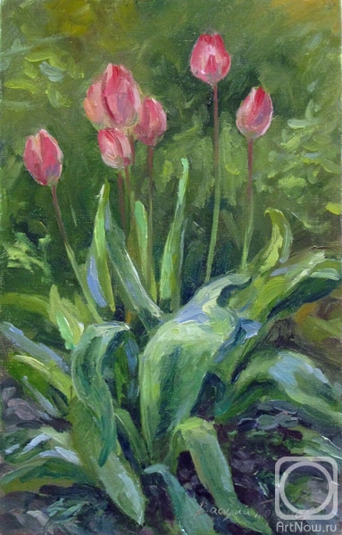 ������� ������ �� ������. ������� �������. �������� ��������