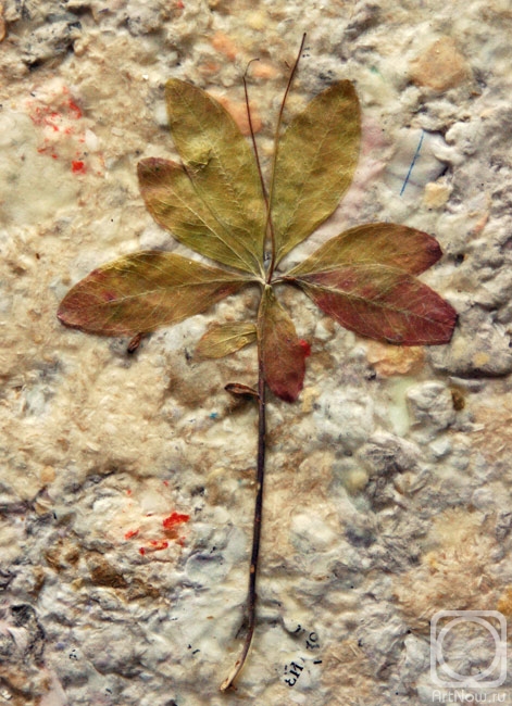 ������� ���������. Herbarium (��������)