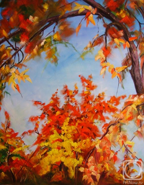 Shovkunenko Oleh. The sky is framed by autumn leaves