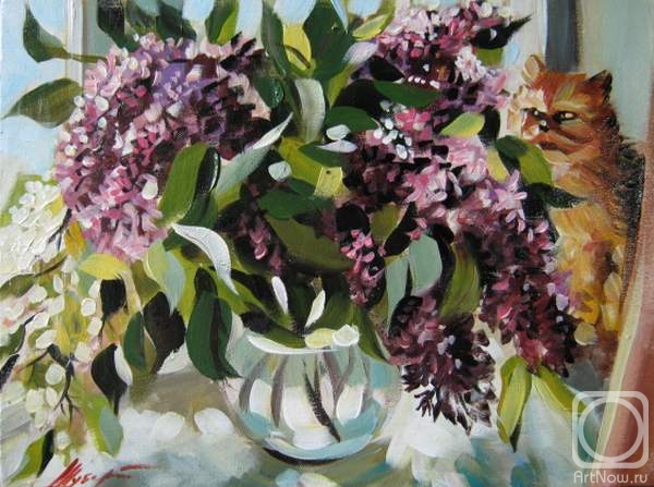 ������� ������ �� ������. ������ �������. ������ � ���������� �����